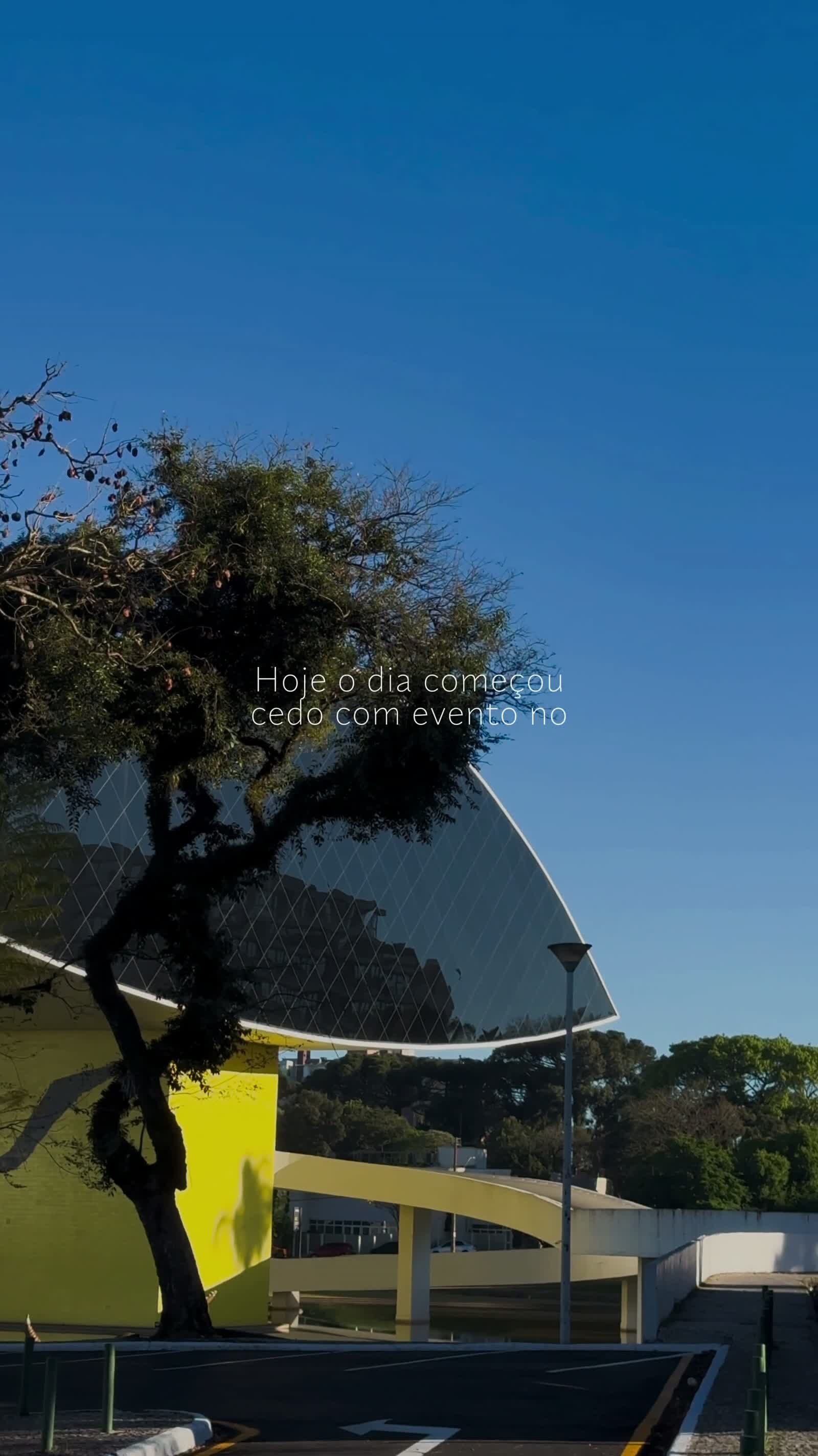 bosco-madeiramadeira - 87008818-5945-4231-b22c-a7bff3946117.mp4
