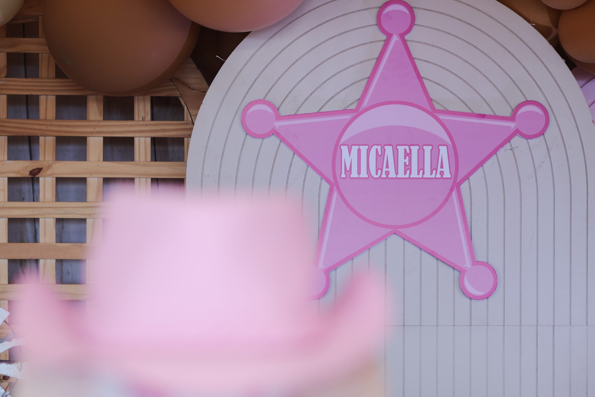 7-anos-da-micaella - img-1206.jpg
