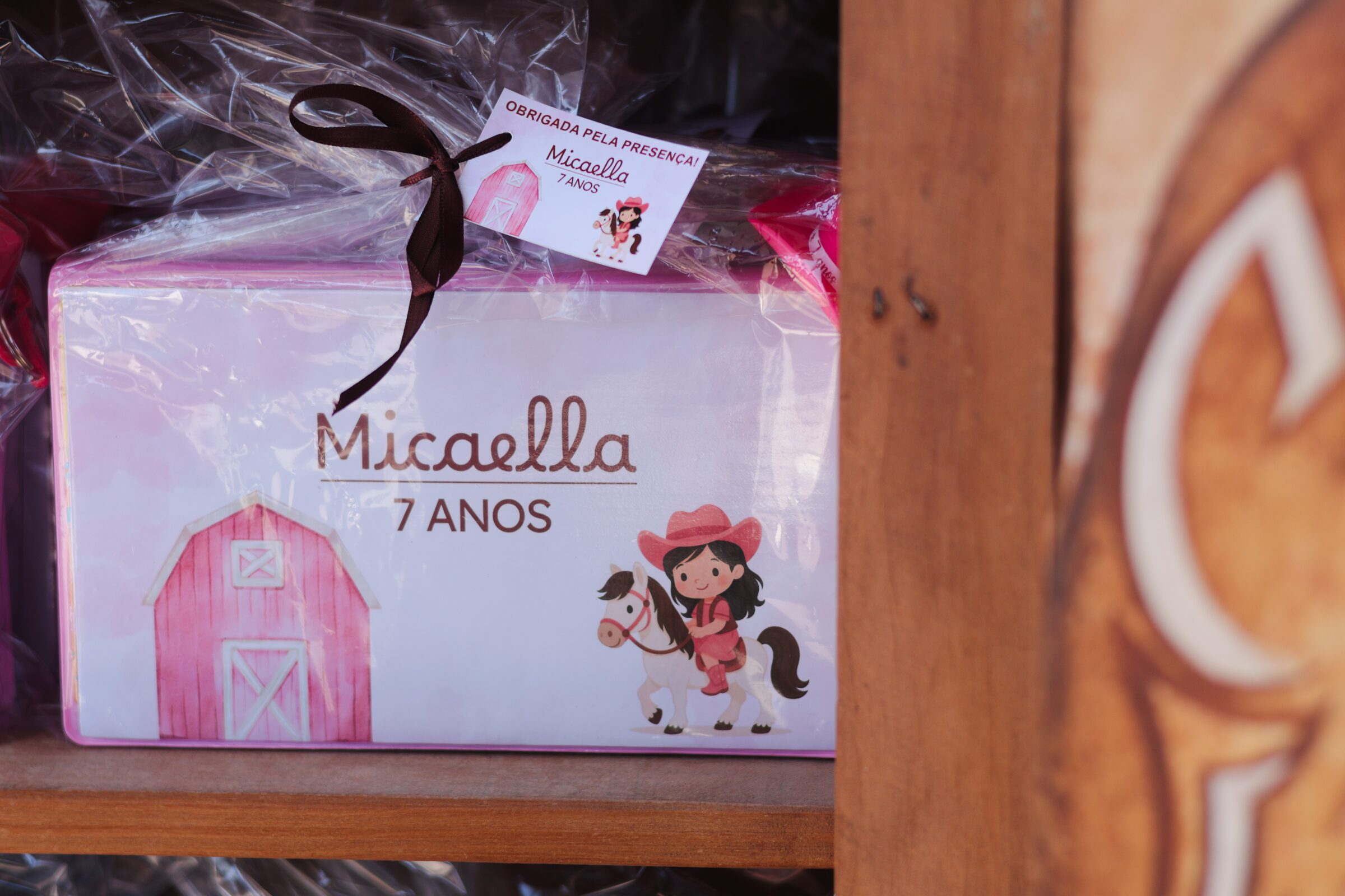 7-anos-da-micaella - img-1216.jpg